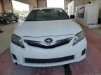 2010 Toyota Camry Hybrid