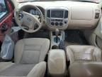 2005 Ford Escape XLT