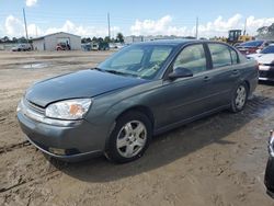 Salvage cars for sale at Riverview, FL auction: 2004 Chevrolet Malibu LT