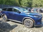 2023 Infiniti QX60 Pure