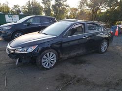 Salvage cars for sale at Baltimore, MD auction: 2014 Honda Accord EXL