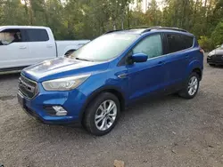 Salvage cars for sale at Cookstown, ON auction: 2017 Ford Escape SE