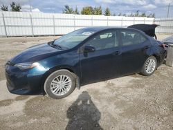 Toyota salvage cars for sale: 2018 Toyota Corolla L