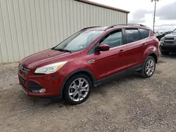 Salvage cars for sale at Temple, TX auction: 2014 Ford Escape SE