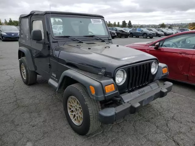 2004 Jeep Wrangler / TJ SE