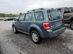 2010 Ford Escape XLS