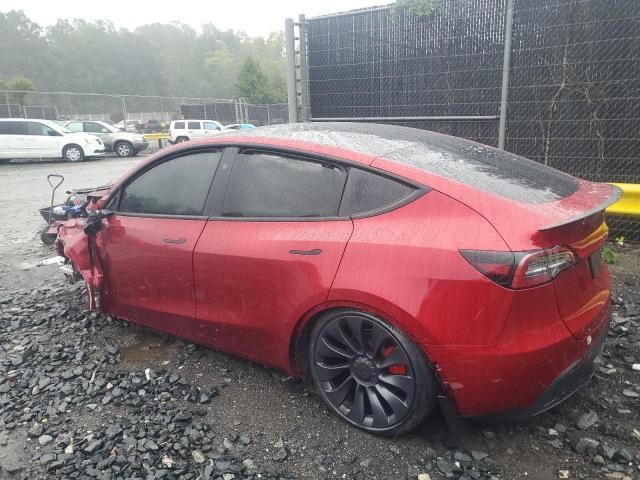 2024 Tesla Model Y