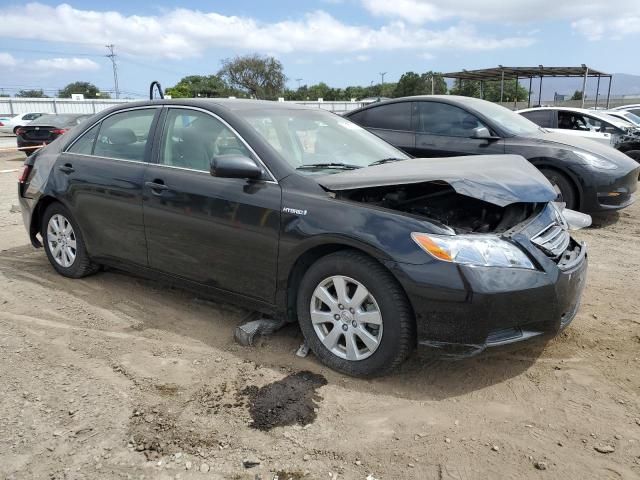 2009 Toyota Camry Hybrid