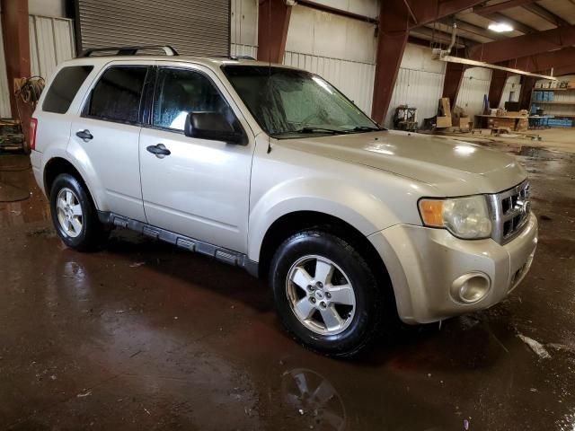 2010 Ford Escape XLT