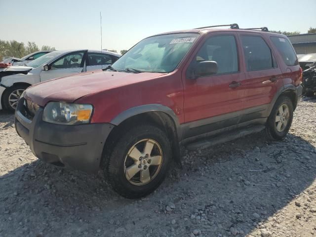 2006 Ford Escape XLT