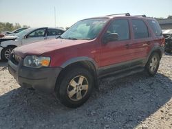 Ford Vehiculos salvage en venta: 2006 Ford Escape XLT