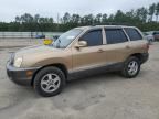 2004 Hyundai Santa FE GLS