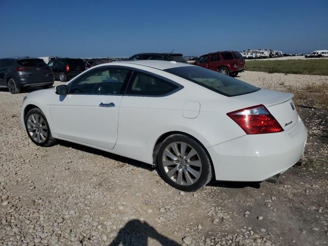 2009 Honda Accord EXL