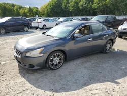 Nissan salvage cars for sale: 2009 Nissan Maxima S