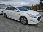 2013 Hyundai Sonata Hybrid