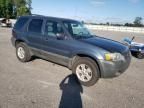 2005 Ford Escape XLT