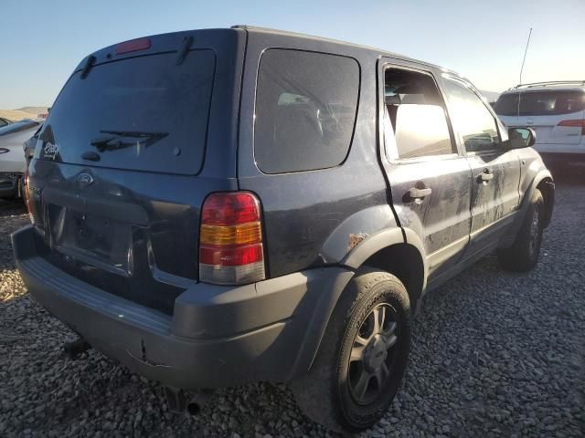 2002 Ford Escape XLT