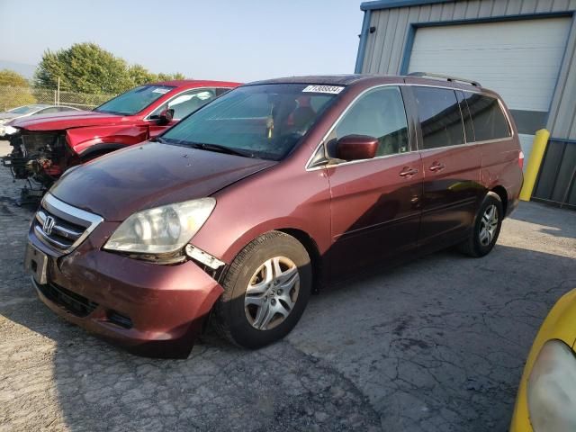 2007 Honda Odyssey EXL