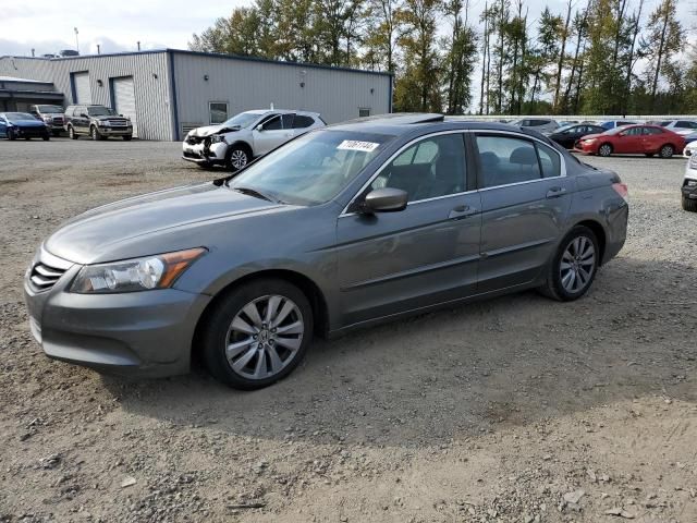 2011 Honda Accord EXL