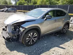 2021 Lexus NX 300 Base en venta en Waldorf, MD