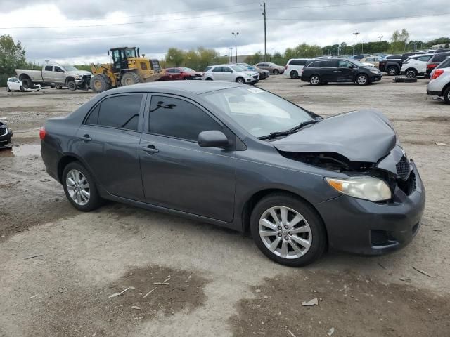 2010 Toyota Corolla Base