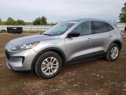 Salvage cars for sale at Columbia Station, OH auction: 2022 Ford Escape SE