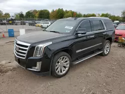 Cadillac salvage cars for sale: 2016 Cadillac Escalade Premium