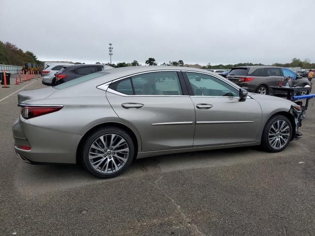 2019 Lexus ES 350