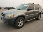 2005 Ford Escape XLT