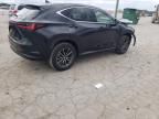 2024 Lexus NX 250 Base