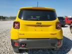 2015 Jeep Renegade Trailhawk