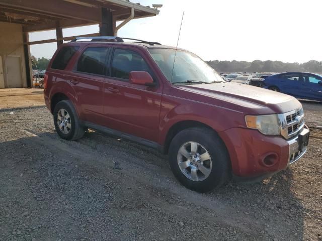 2011 Ford Escape Limited