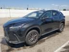 2024 Lexus NX 250 Base