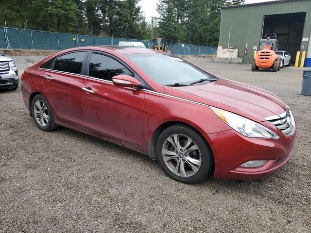 2013 Hyundai Sonata SE