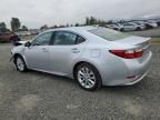 2014 Lexus ES 300H