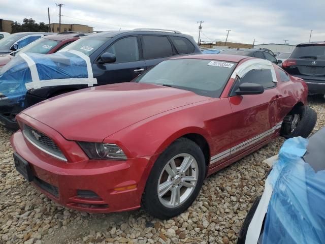 2013 Ford Mustang