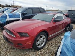 Ford Mustang Vehiculos salvage en venta: 2013 Ford Mustang