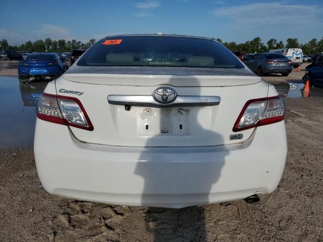 2010 Toyota Camry Hybrid