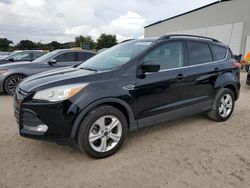 Carros salvage sin ofertas aún a la venta en subasta: 2016 Ford Escape SE