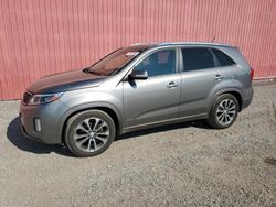 KIA salvage cars for sale: 2014 KIA Sorento SX