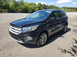 Ford salvage cars for sale: 2019 Ford Escape SE