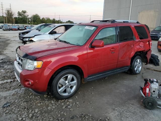 2012 Ford Escape Limited