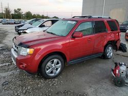 Ford salvage cars for sale: 2012 Ford Escape Limited