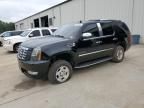 2010 Cadillac Escalade Luxury