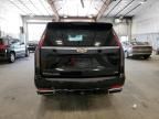 2021 Cadillac Escalade ESV Premium Luxury