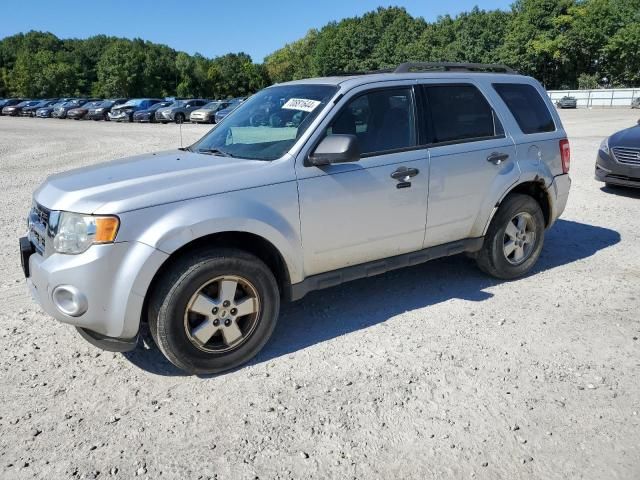 2012 Ford Escape XLT