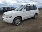 2006 Toyota Highlander Hybrid