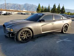 2014 Dodge Charger R/T en venta en Rancho Cucamonga, CA