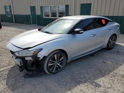 Salvage cars for sale at Angola, NY auction: 2019 Nissan Maxima S