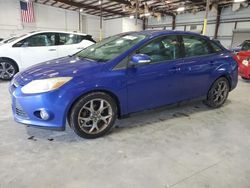 Salvage cars for sale at Jacksonville, FL auction: 2013 Ford Focus SE